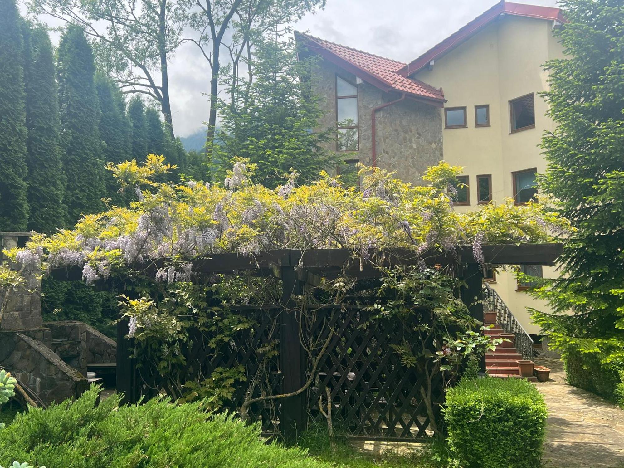 Wine Cellar Villa With Beautiful Garden In Sinaia - Busteni Poiana Tapului Extérieur photo