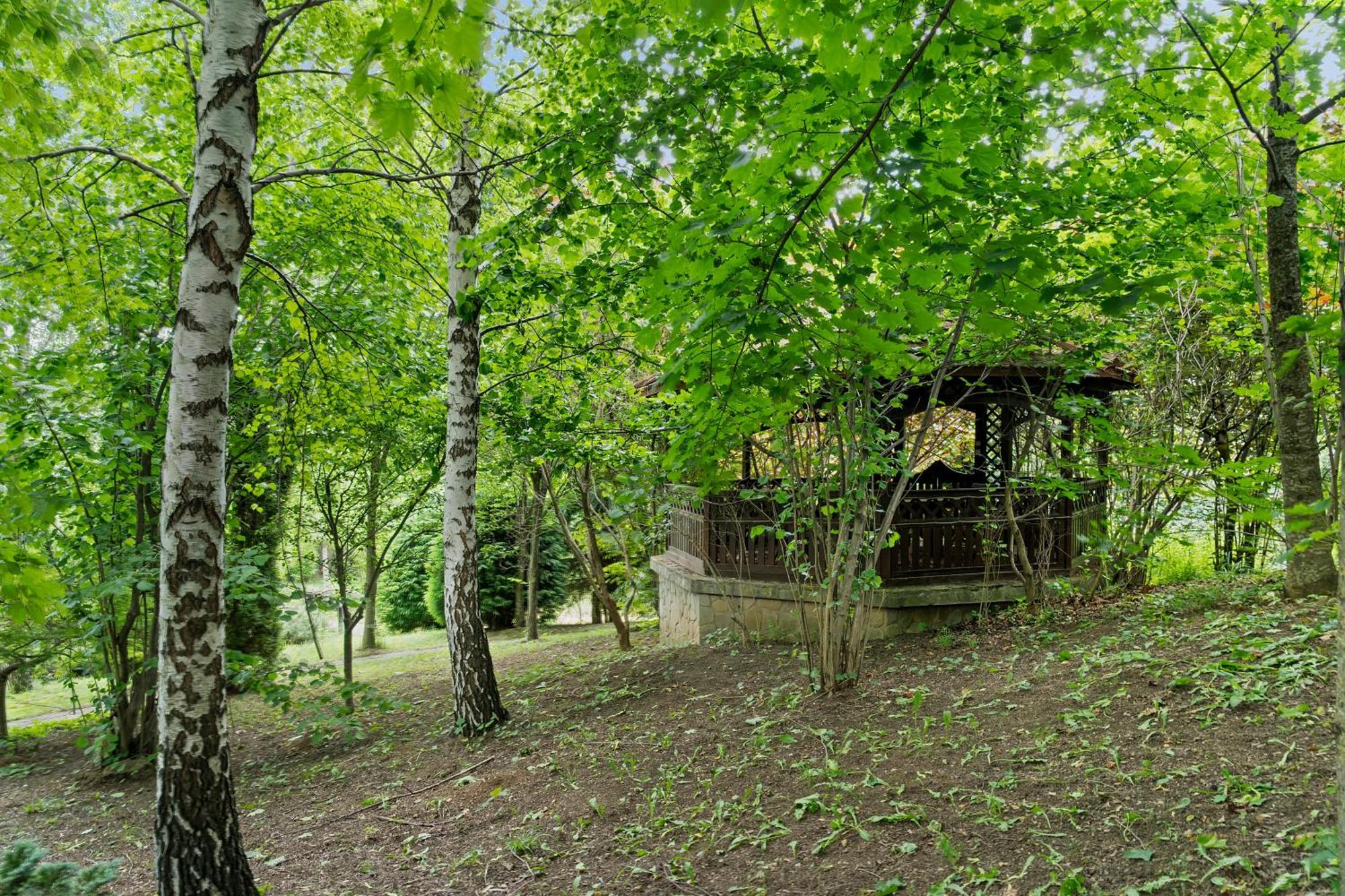 Wine Cellar Villa With Beautiful Garden In Sinaia - Busteni Poiana Tapului Extérieur photo