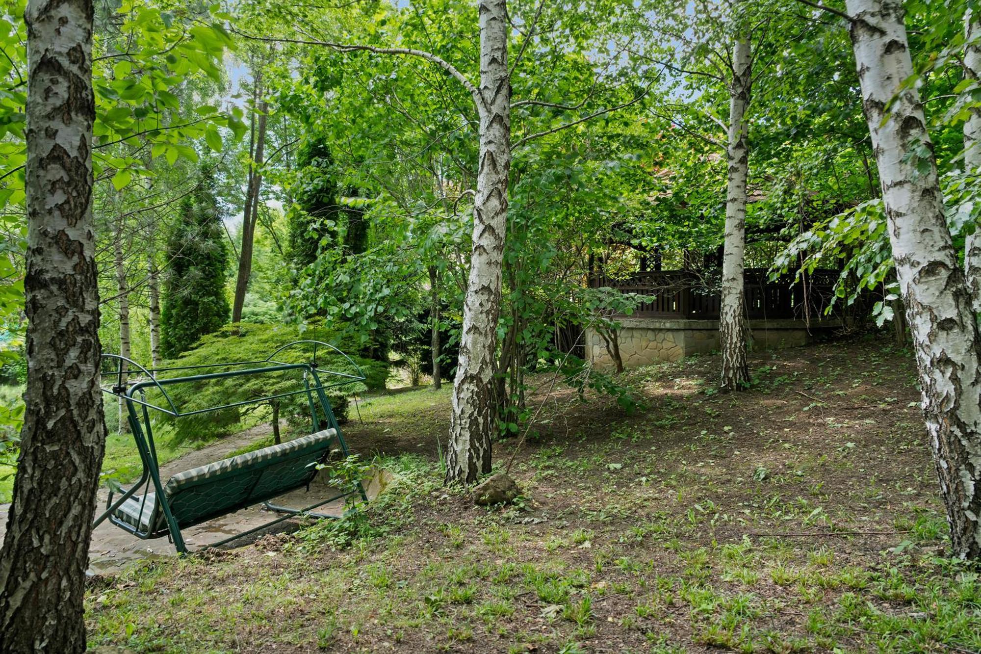 Wine Cellar Villa With Beautiful Garden In Sinaia - Busteni Poiana Tapului Extérieur photo