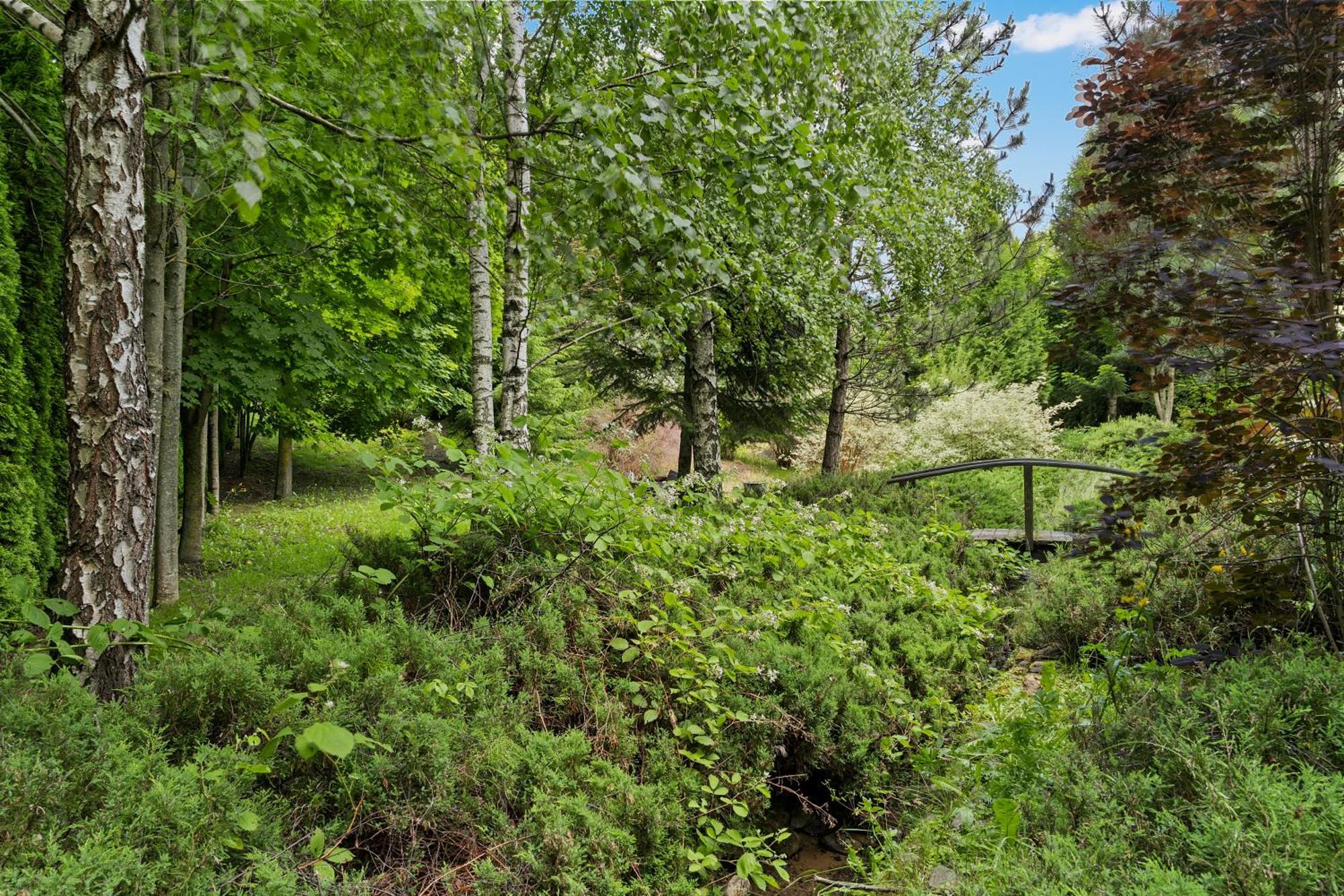 Wine Cellar Villa With Beautiful Garden In Sinaia - Busteni Poiana Tapului Extérieur photo